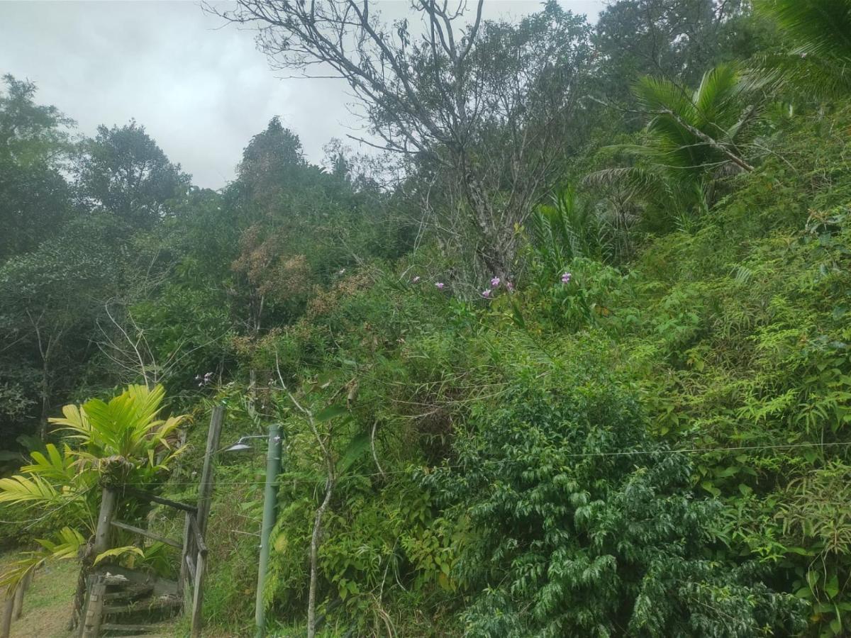 Hotel Ribeira Beach Ubatuba Eksteriør billede